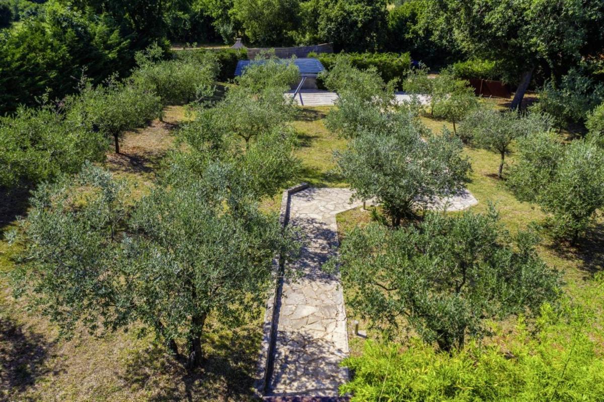 Istria Moderna In Muntic * Pula