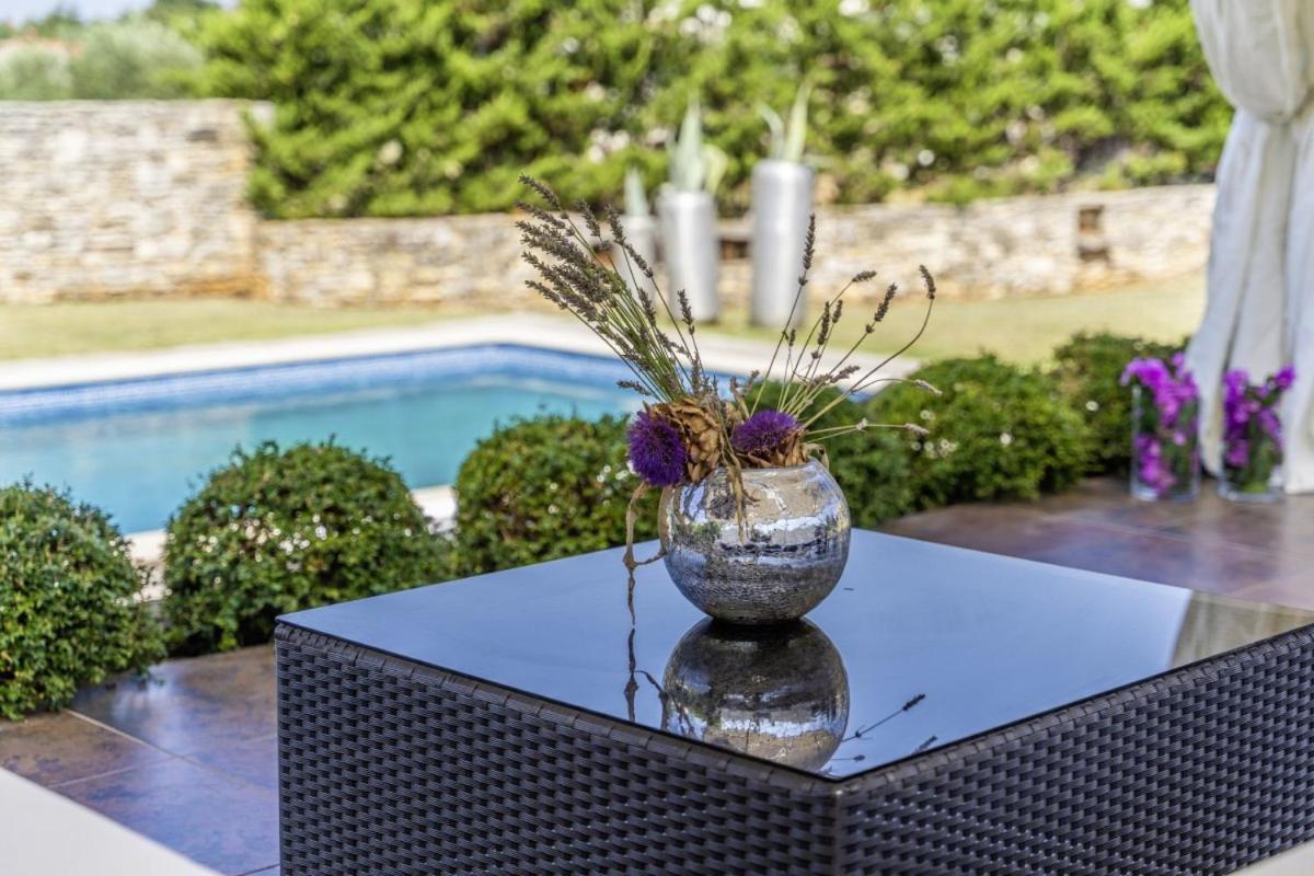 Villa Istria Moderna In Muntic *
